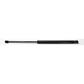 Heckklappendämpfer 24491 von FA KROSNO günstig für 19,75 € online kaufen