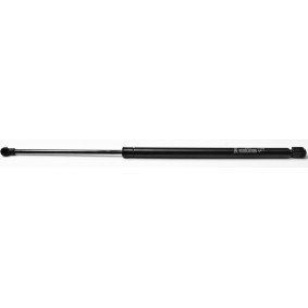 Heckklappendämpfer 31005 von FA KROSNO günstig für 17,16 € online kaufen