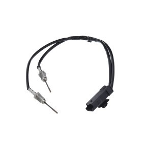 Acquista Sensore, Temperatura gas scarico da VALEO 368872 a buon mercato per soli 162,50 €