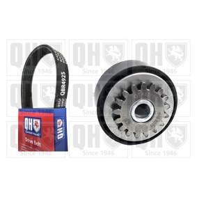 Compre Jogo de correias trapezoidais estriadas da QUINTON HAZELL QDK196 a um preço baixo por 88,97 €