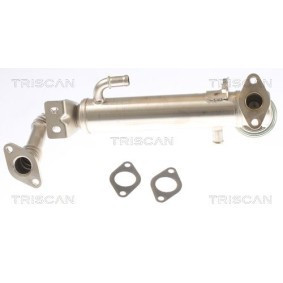 Acquista Radiatore EGR da TRISCAN 8813 15075 a buon mercato per soli 273,59 €