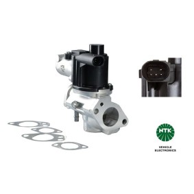 AGR-Ventil 93448 von NGK günstig für 131,47 € online kaufen