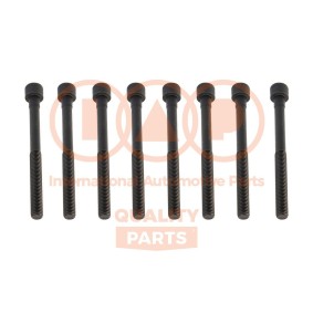 Zylinderkopfschraubensatz 119-13192 von IAP QUALITY PARTS günstig für 91,10 € online kaufen