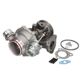 Achetez des Turbocompresseur EVORON EVTC0313 à prix pour 665,31 €