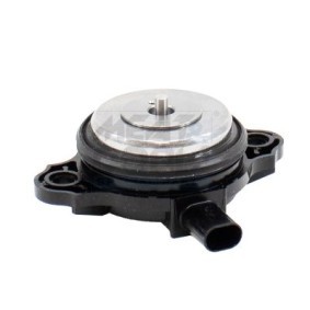 Zentralmagnet, Nockenwellenverstellung 915067 PORSCHE 718 von MEAT & DORIA