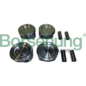 Kolbenringsatz B11141 von Borsehung günstig für 458,32 € online kaufen