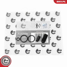 Comprar Kit de reparación, unidad bomba-inyector de ESEN SKV 53SKV198 a bajo precio de 13,30 €