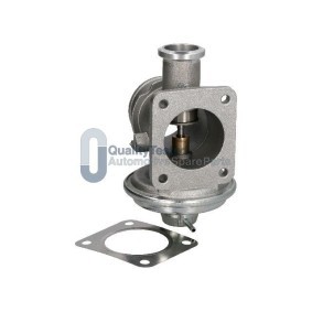 AGR-Ventil EGRL04JM von JAPANPARTS günstig für 117,84 € online kaufen