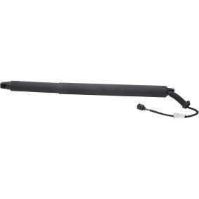 Heckklappendämpfer 9100576 von DIEDERICHS günstig für 138,54 € online kaufen