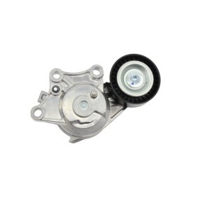 Riemenspanner, Keilrippenriemen des Herstellers FAST - Originalware Artikelnummer: FT10013