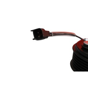 Magnetkupplung, Klimakompressor FT57704 von FAST günstig für 100,23 € online kaufen