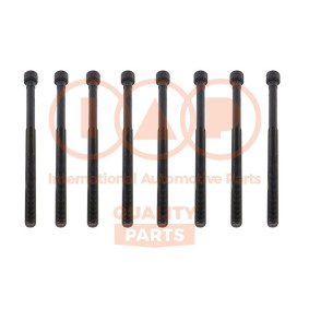 Zylinderkopfschraubensatz 119-51000 von IAP QUALITY PARTS günstig für 98,42 € online kaufen