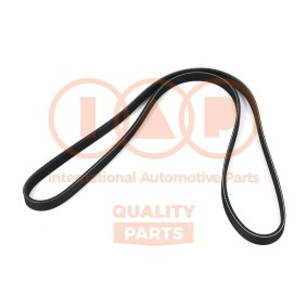 Keilrippenriemen 140-14054 von IAP QUALITY PARTS günstig für 58,92 € online kaufen