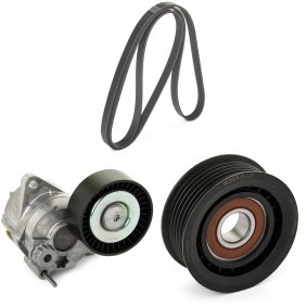 Achetez des Kit de courroie d'accessoire de chez RIDEX PLUS en ligne pour Sprinter Classic 4,6-t Van (W909) à prix modérés