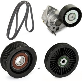 Achetez des Kit de courroie d'accessoire de chez RIDEX PLUS en ligne pour Sprinter Classic 4,6-t Van (W909) à prix modérés