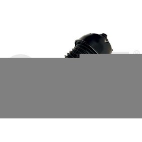 Luftfederbein 49815201 von VIKA günstig für 1049,45 € online kaufen