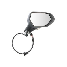 Außenspiegel 5402-10-2358311P von BLIC günstig für 378,83 € online kaufen