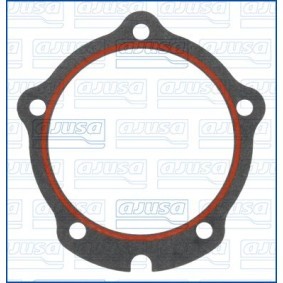Dichtung, Kühlmittelrohrleitung 01900300 von AJUSA günstig für 6,47 € online kaufen