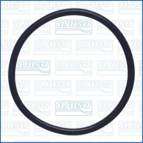 Acquista Guarnizione, Pompa carburante da AJUSA 16117000 a buon mercato per soli 2,75 €