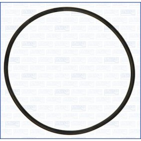 Comprar Anillo obturador, conducto admisión caja filtro aire de AJUSA 16509700 a bajo precio de 4,73 €