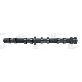 Nockenwelle CAM1059 von AE günstig für 237,11 € online kaufen