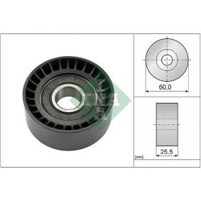Compre Polia de desvio / de guia, correia trapezoidal estriada da INA 532 0243 10 a um preço baixo por 20,21 €