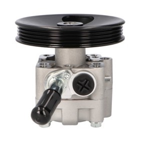 Achetez des Pompe de direction assistée STARQ SQ924-13104 à prix pour 113,59 €