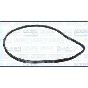 Dichtung, Wasserpumpe 01738800 von AJUSA günstig für 12,20 € online kaufen