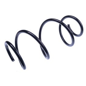 Köp Spiralfjäder av DENCKERMANN D700563 till det låga priset 208,64 kr