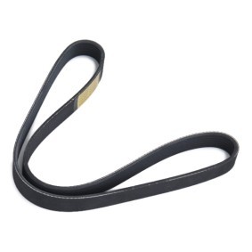 Keilrippenriemensatz 542R1242 von RIDEX günstig für 135,66 € online kaufen
