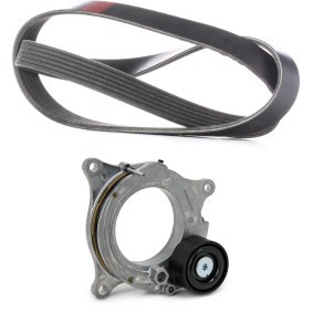 Compre Jogo de correias trapezoidais estriadas da RIDEX 542R1313 a um preço baixo por 66,14 €