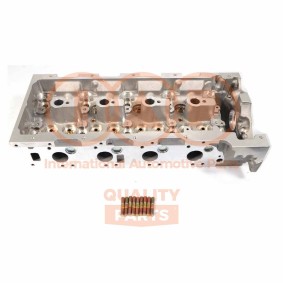 Zylinderkopf 120-54011 von IAP QUALITY PARTS günstig für 776,97 € online kaufen
