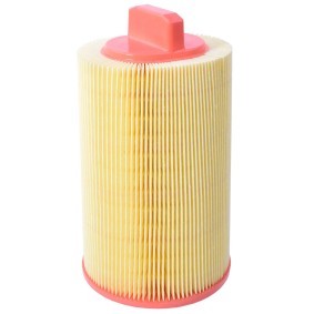 Luftfilter CA0125 von Castrol filters günstig für 21,30 € online kaufen