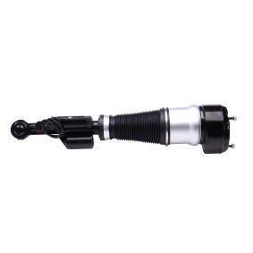 Luftfederbein 8QA 358 254-301 von HELLA günstig für 416,51 € online kaufen