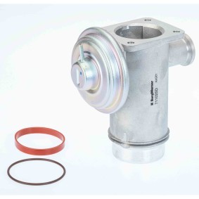 AGR-Ventil 711025D von BorgWarner günstig für 45,08 € online kaufen