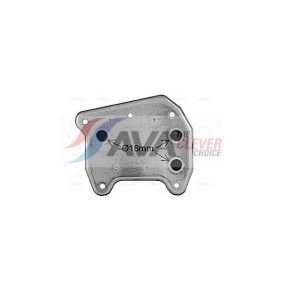 Expansionsventil, Klimaanlage MS1093 von AVA COOLING SYSTEMS günstig für 59,66 € online kaufen