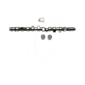 Nockenwellensatz CP60225 von CAMPRO günstig für 558,41 € online kaufen