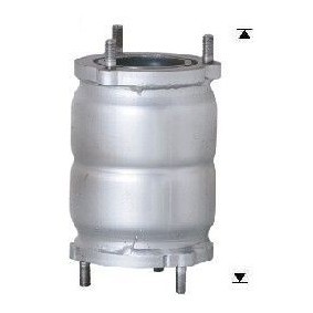 Katalysator für DAEWOO von VEGAZ