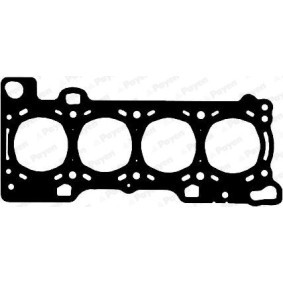 Acquista Guarnizione testata da PAYEN AB5730 a buon mercato per soli 34,55 €
