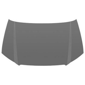 Comprar Capó de DIEDERICHS 1031000 a bajo precio de 202,19 €