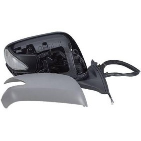 Außenspiegel 5241324 von DIEDERICHS günstig für 111,97 € online kaufen