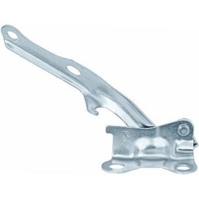 Comprar Bisagra, capó del motor de DIEDERICHS 6684813 a bajo precio de 14,52 €