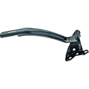 Compre Dobradiça, capot do motor da DIEDERICHS 5241019 a um preço baixo por 26,85 €