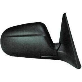 Außenspiegel 5206324 von DIEDERICHS günstig für 66,36 € online kaufen