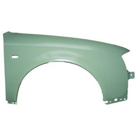 Acquista Parafango da DIEDERICHS 1025007 a buon mercato per soli 63,10 €