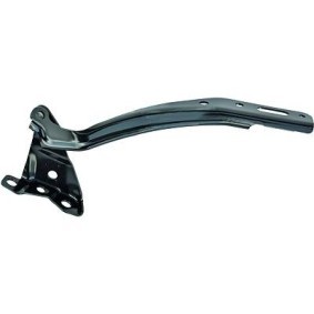 Compre Dobradiça, capot do motor da DIEDERICHS 5241018 a um preço baixo por 26,85 €