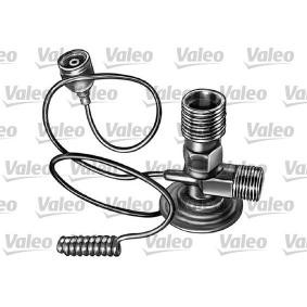 Comprar Válvula de expansión, aire acondicionado de VALEO 508633 a bajo precio de 37,71 €