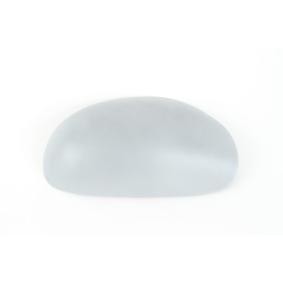Comprar Cubierta, retrovisor ext. de BLIC 6103-01-1322859P a bajo precio de 15,36 €