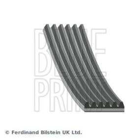 Compre Correia do alternador de BLUE PRINT online para Sentra VII (B17) a preços moderados