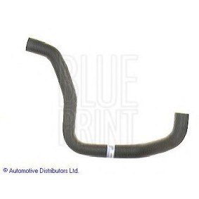 Acquista Manicotto radiatore da BLUE PRINT online per BLUEBIRD Station Wagon (WU11) a prezzi moderati